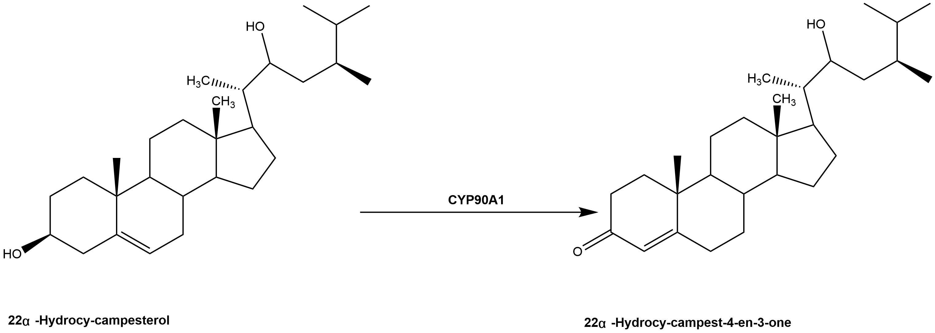 reaction