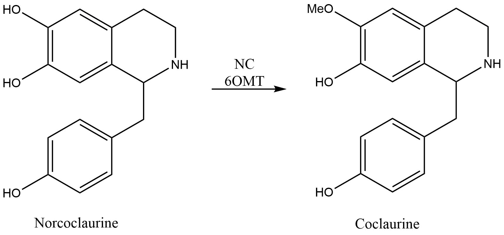 reaction