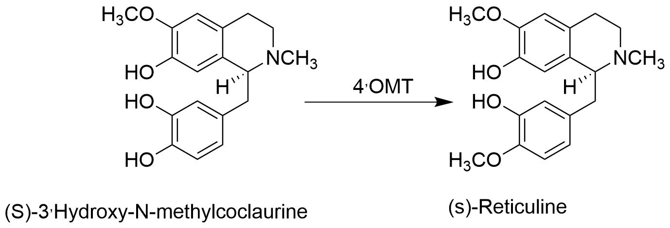 reaction