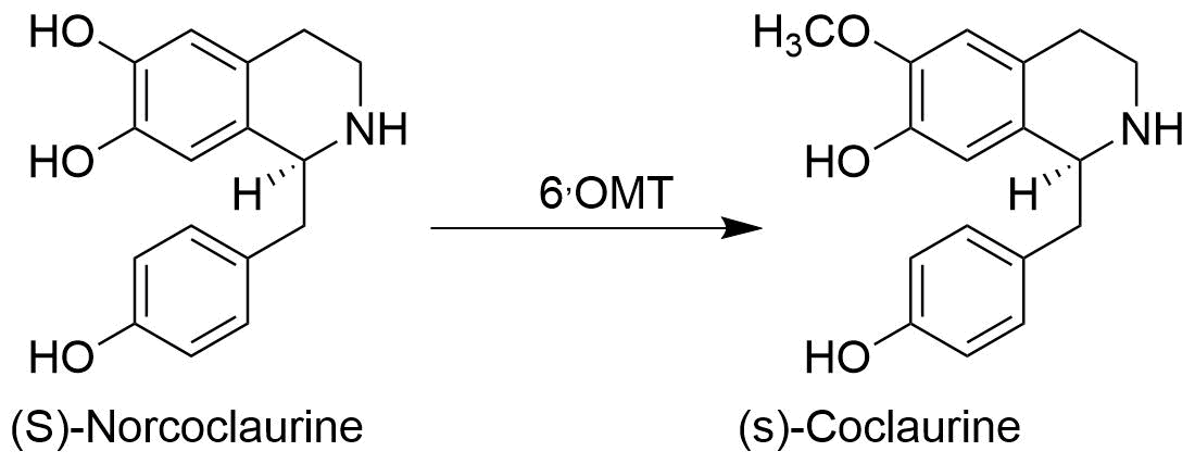 reaction