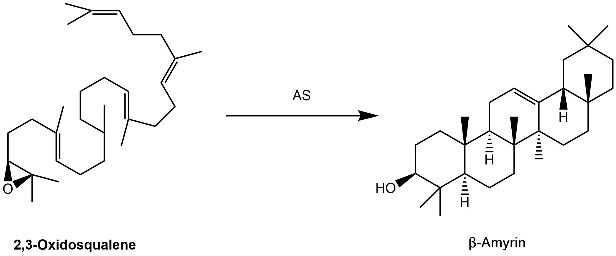 reaction