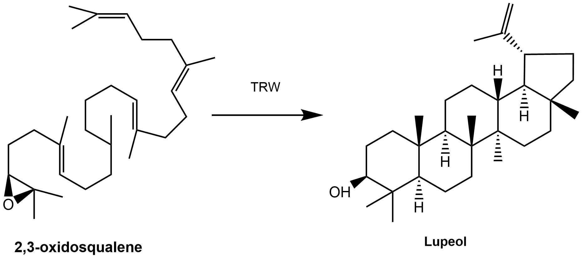 reaction