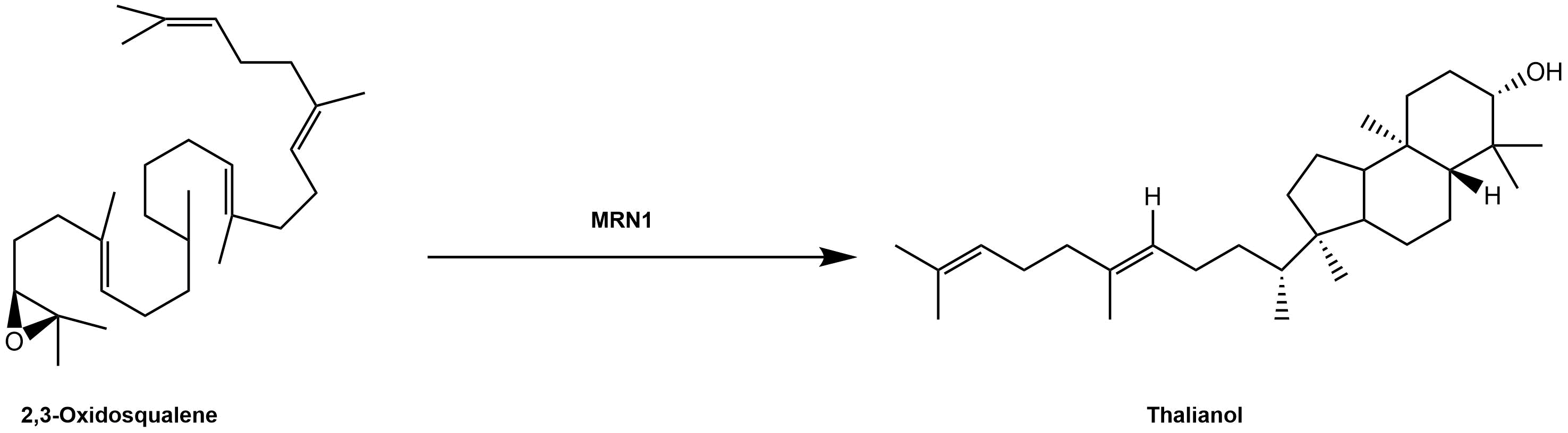 reaction