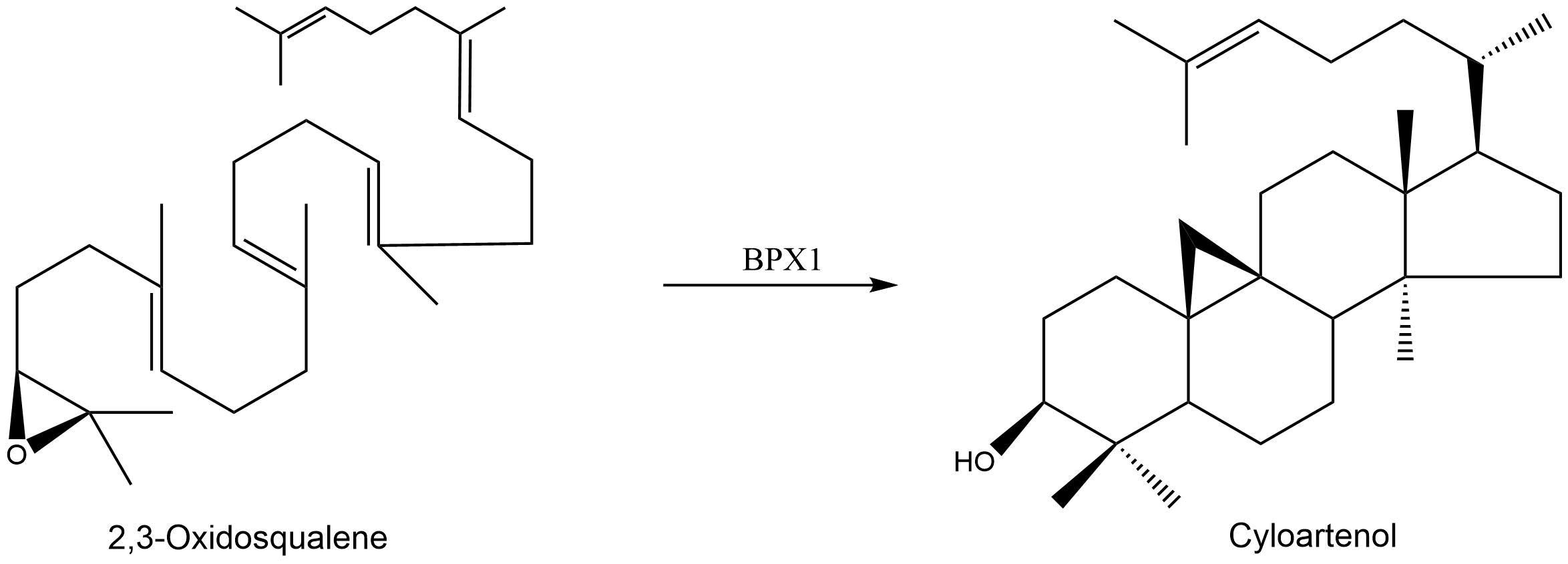 reaction