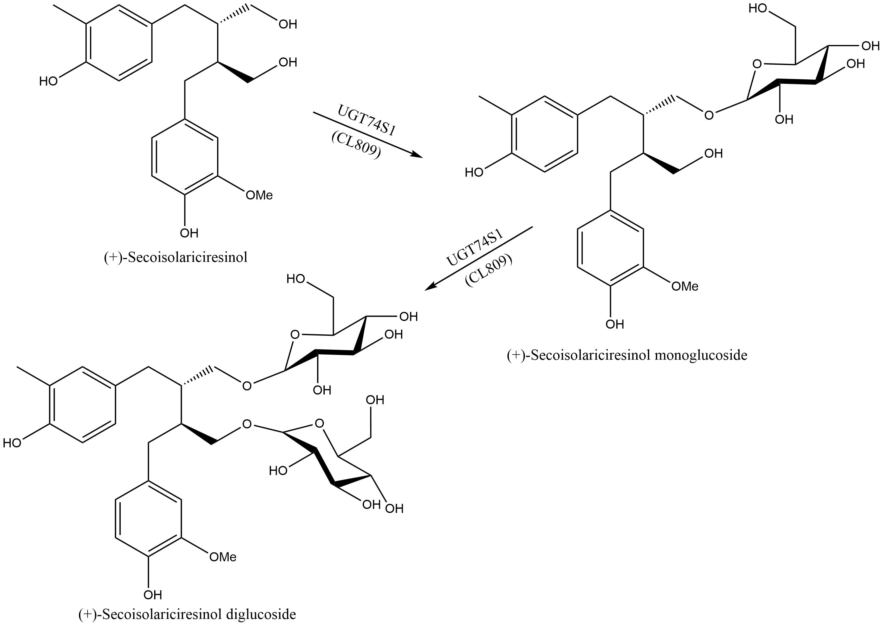 reaction